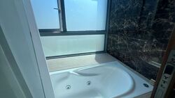 Viz At Holland (D10), Condominium #504536191